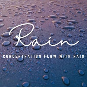Mindful Rainfall: Study Sessions with Nature's Rhythms - Recording Nature