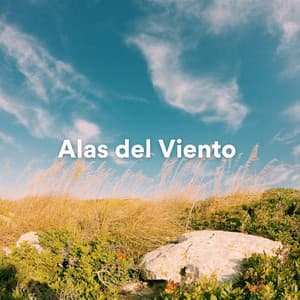 Alas del Viento - Técnicas de Meditación Academia