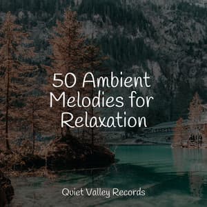 50 Ambient Melodies for Relaxation - Nature Noise