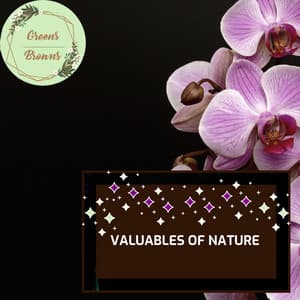 Valuables of Nature - Calm Music