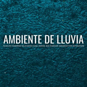 Ambiente De Lluvia: Paisajes Sonoros Relajantes Para Perros Que Padecen Ansiedad Por Separación - Las Vientas
