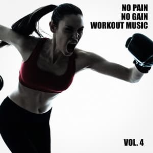 No Pain No Gain Workout Music, Vol. 4 - WORKOUT