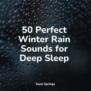 50 Perfect Winter Rain Sounds for Deep Sleep - Echoes Of Nature