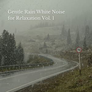 Gentle Rain White Noise for Relaxation Vol. 1 - Water Sound Natural White Noise