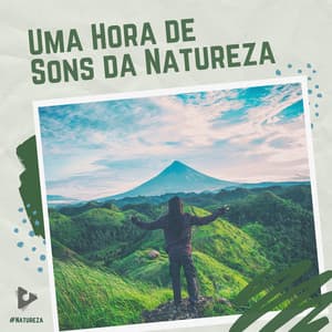 1 Hora de Sons da Natureza - #Natureza