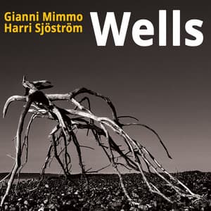 Wells - Gianni Mimmo