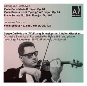 Beethoven & Brahms: Works for Violin & Piano - Wolfgang Schneiderhan