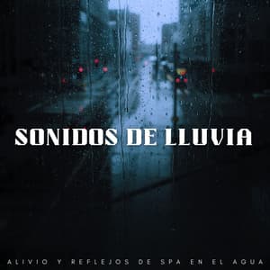 Sonidos De Lluvia: Alivio Y Reflejos De Spa En El Agua - Lluvia Instantánea