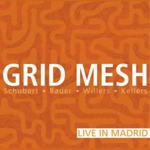 Grid Mesh; Live in Madrid - Frank Paul Schubert