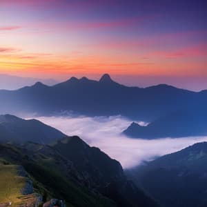 Tranquilidad En Las Patas: Música Relajante Para Perros - Patas para el pensamiento