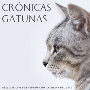 Crónicas Gatunas: Melodías Lofi De Ensueño Para La Siesta Del Gato - Ritmos soñolientos de Lofi