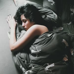 Relaxing Music for Sleep Time - Night Sleep Music