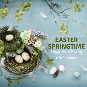 Easter Springtime - Enjoy the Morning Birds Sounds - Calm Music Zone