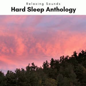 1 Hard Sleep Anthology - The Outdoor Library