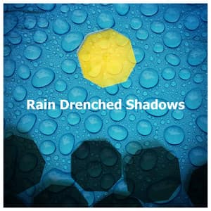 Rain Drenched Shadows - Raindrops Healing Music Universe