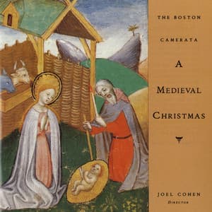 A Medieval Christmas - Anonymous