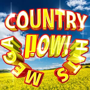 Mega Country Hits Pow! - Modern Country Heroes