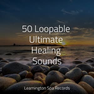 50 Loopable Ultimate Healing Sounds - Relajación