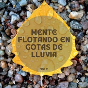 Matices espirituales de la lluvia Vol.2 - Sonidos de la selva tropical