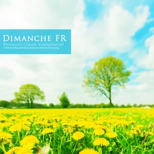 Rich and Beautiful Classical Music Collection Like Spring - Dimanche FR
