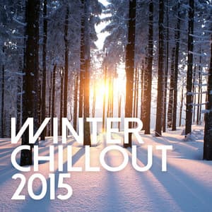 Winter Chill Out 2015 - Chill Out Lounge Cafe Essentials