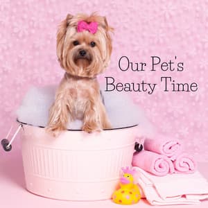 Our Pet's Beauty Time - Real Massage Music Collection