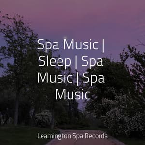 Spa Music | Sleep | Spa Music | Spa Music - Musica Relajante