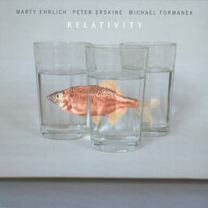 Relativity - Peter Erskine
