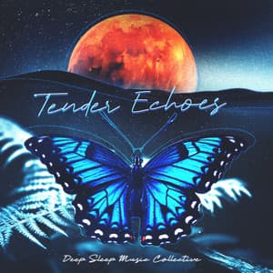 Tender Echoes - Deep Sleep Music Collective