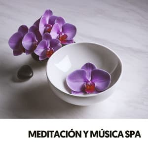 Guérison Spirituelle: Sérénades du Jardin Zen - Relajacion