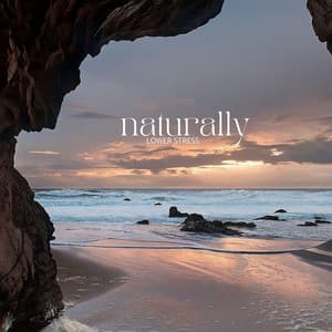 Naturally Lower Stress - Calming Water Consort