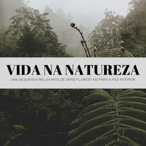 Vida Na Natureza: Uma Sequência Relaxante De Sons Florestais Para A Paz Interior - #Calmante
