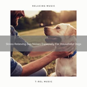 Stress Relieving Sea Noises Especially For Household Dogs - Pets Relax