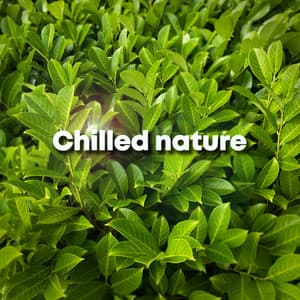 Chilled Nature - Natural Sounds