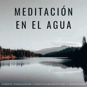 Meditación En El Agua: Corriente Tranquilizadora Y Sonidos De Relajación Para La Atención Plena - Sonidos de agua dulce para la paz interior