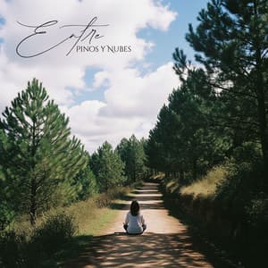 Entre Pinos y Nubes - Meditación Música Ambiente