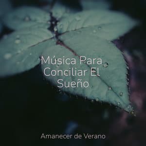 Música Para Conciliar El Sueño - Música ambiental relajante
