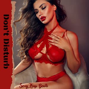 Don't Disturb: Private Room Striptease, Sexy Trap Beats, Naughty Bedroom Playlist - Pole Dance Zone