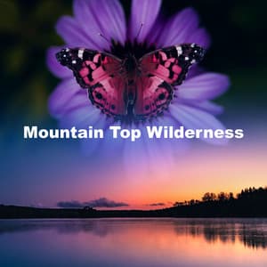 Mountain Top Wilderness - Rainforest Spa Music