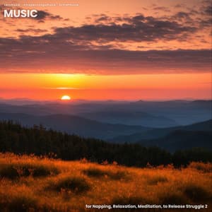 Music for Napping, Relaxation, Meditation, to Release Struggle 2 - Lernmusik