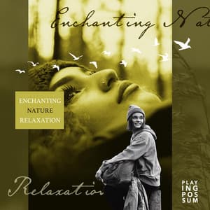 Enchanting Nature Relaxation - Playing Possum