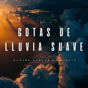 Gotas De Lluvia Suave: Mañana Húmeda Relajante - Príncipe de la lluvia