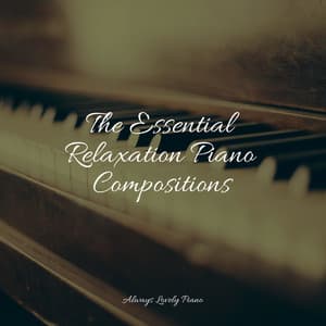 50 Piano Classics for Deep Focus and Relaxation - Piano Masters