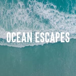Ocean Escapes - Ocean Waves