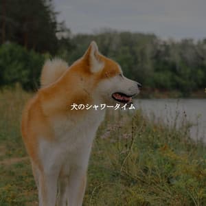 犬のシャワータイム - Soft Romantic Jazz