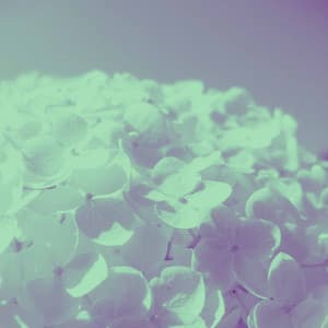 Pulsating Backdrop for Comfort Lounge - Jazz for Hotel Lobbies