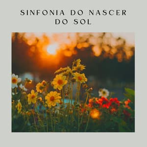 Sinfonia do Nascer do Sol - Relaxantes Natureza Zona