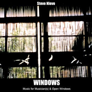 Windows - Steve Nieve