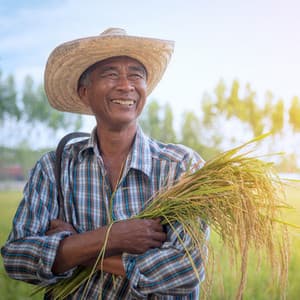 Workday Ocean Reflections Ambient Harmony for Mindful Productivity - Work Music Bliss