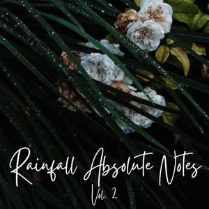 Rainfall Absolute Notes Vol. 2 - Spa Collective